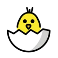 🐣 Anak Ayam Menetas OpenMoji