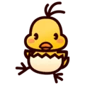 🐣 Anak Ayam Menetas