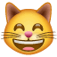 😸 Kucing Tersenyum dengan Mulut Terbuka dan Mata Tertutup WhatsApp