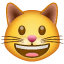😺 Wajah Menyeringai Kucing WhatsApp