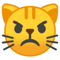 😾 Kucing Marah Google
