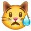 😿 Kucing Menangis WhatsApp