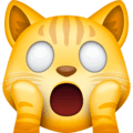 🙀 Kucing Lelah Emosional Facebook