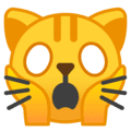 🙀 Kucing Lelah Emosional Google