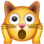 🙀 Kucing Lelah Emosional WhatsApp