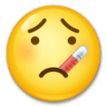 🤒 Wajah dengan Termometer LG 1