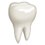 🦷 Gigi WhatsApp