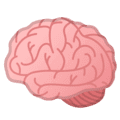 🧠 Otak Google