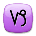 ♑ Capricorn LG