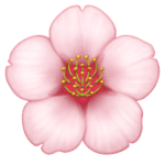 🌸 Bunga Sakura Facebook