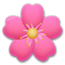 🌸 Bunga Sakura LG