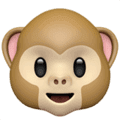 🐵 Wajah Monyet Apple