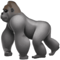 🦍 Gorila Apple