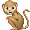 🐒 Monyet Apple