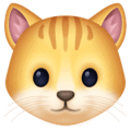 🐱 Wajah Kucing Facebook