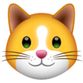 🐱 Wajah Kucing WhatsApp