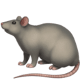 🐀 Tikus Apple