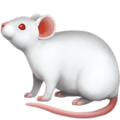 🐁 Tikus Apple