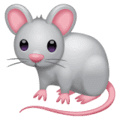 🐁 Tikus WhatsApp