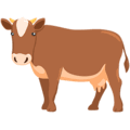 🐄 Sapi Messenger