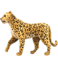 🐆 Macan Tutul Apple