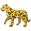 🐆 Macan Tutul Samsung