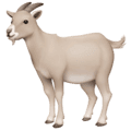 🐐 Kambing Facebook