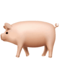🐖 Babi Apple