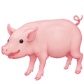 🐖 Babi Facebook