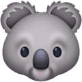 🐨 Koala Facebook