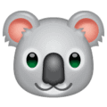 🐨 Koala WhatsApp
