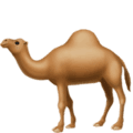 🐪 Unta Apple