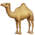 🐪 Unta Facebook
