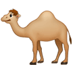 🐪 Unta Samsung