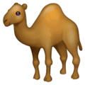 🐪 Unta WhatsApp