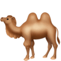 🐫 Unta Punuk Dua Apple