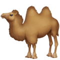 🐫 Unta Punuk Dua Facebook