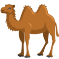 🐫 Unta Punuk Dua Messenger
