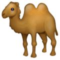 🐫 Unta Punuk Dua WhatsApp