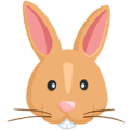 🐰 Wajah Kelinci Messenger