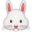 🐰 Wajah Kelinci Samsung