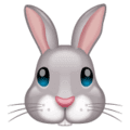 🐰 Wajah Kelinci WhatsApp