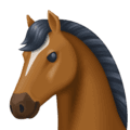 🐴 Wajah Kuda Facebook