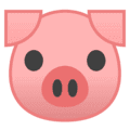 🐷 Wajah Babi Google