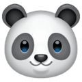 🐼 Panda WhatsApp