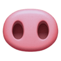 🐽 Hidung Babi Apple