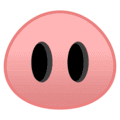 🐽 Hidung Babi Google