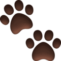 🐾 Jejak Kaki Hewan Facebook