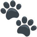 🐾 Jejak Kaki Hewan Messenger