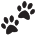 🐾 Jejak Kaki Hewan WhatsApp